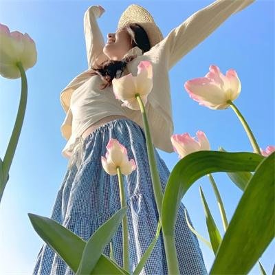 多龙芝